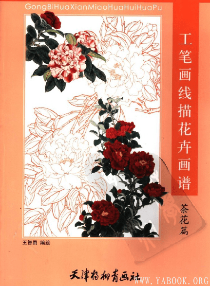 《工笔画线描花卉画谱(茶花篇)》封面图片