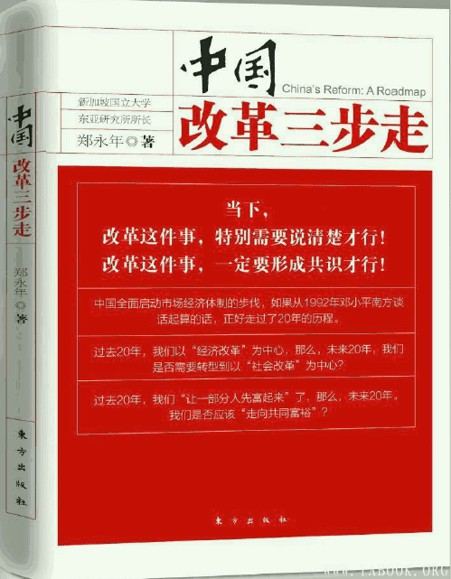 《中国改革三步走 》封面图片