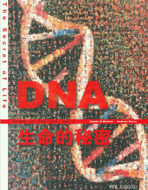 《DNA：生命的秘密》封面图片