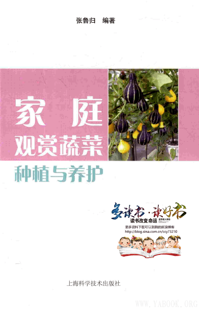 《家庭观赏蔬菜种植与养护 》封面图片