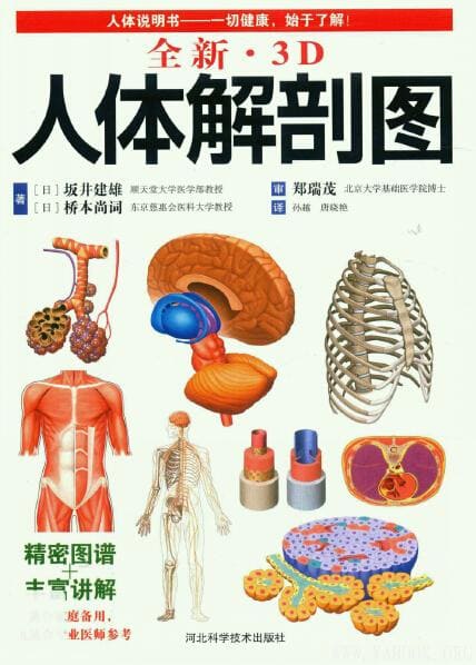 全新·3D人体解剖图》_坂井建雄_河北科技_扫描版[PDF]_医学养生- 雅书