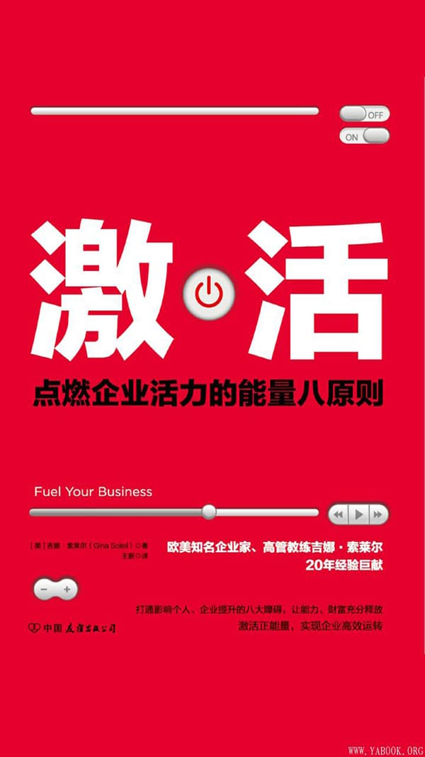《激活：点燃企业活力的能量八原则！》封面图片
