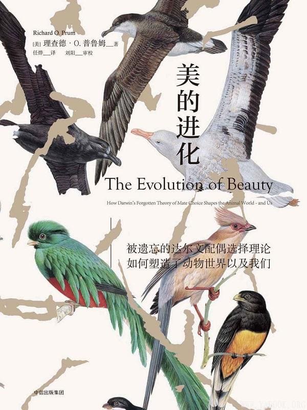 《美的进化》封面图片