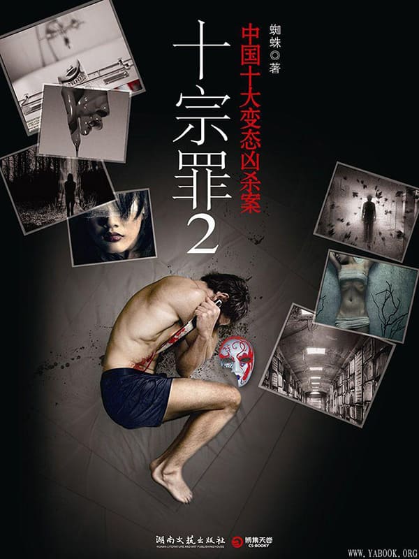 《十宗罪2》封面图片