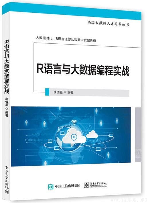 《R语言与大数据编程实战》李倩星【文字版_PDF电子书_下载】