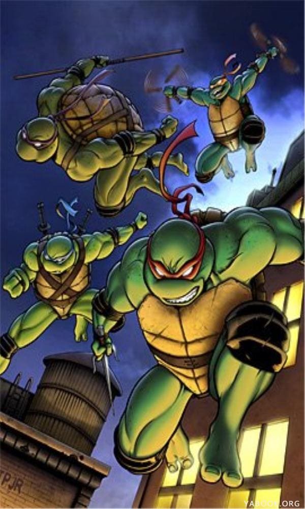 《忍者神龟》封面图片