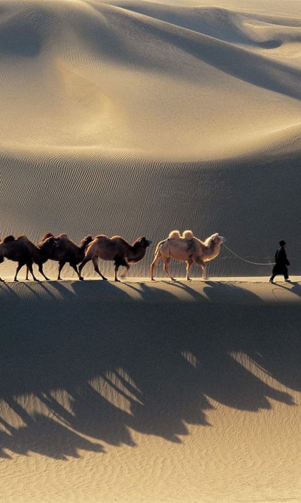 《塔克拉玛干沙漠》封面图片