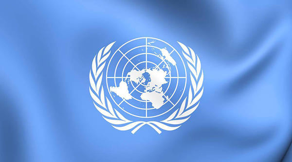 组织机构：联合国教科文组织