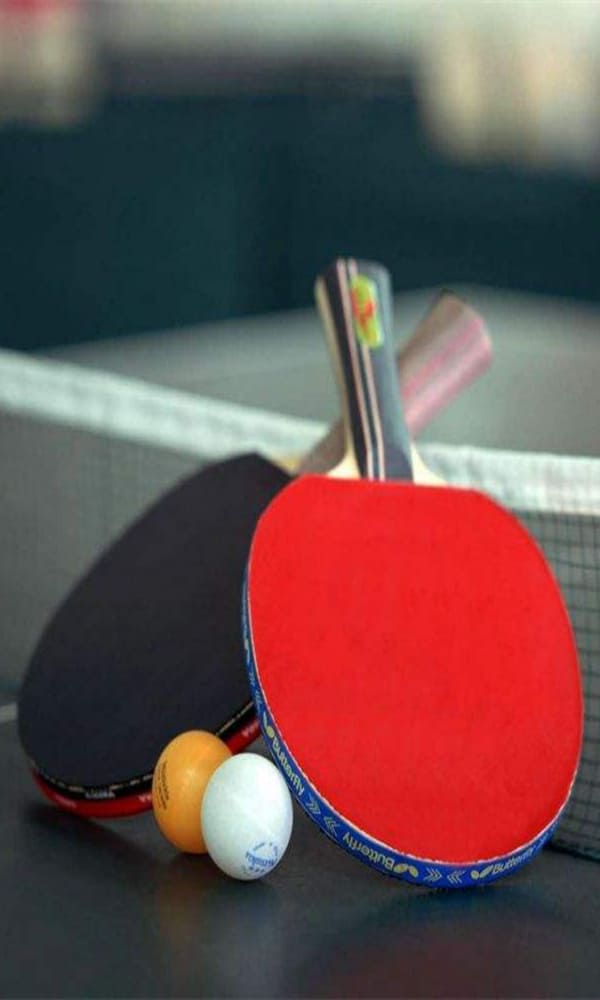 《乒乓球》封面图片