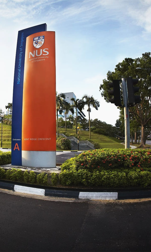 《新加坡国立大学》封面图片