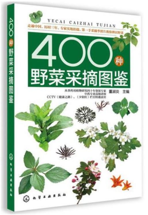 《400种野菜采摘图鉴》封面图片