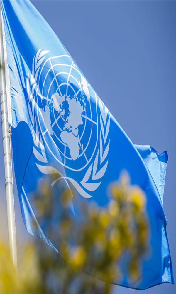 《联合国安全理事会》封面图片