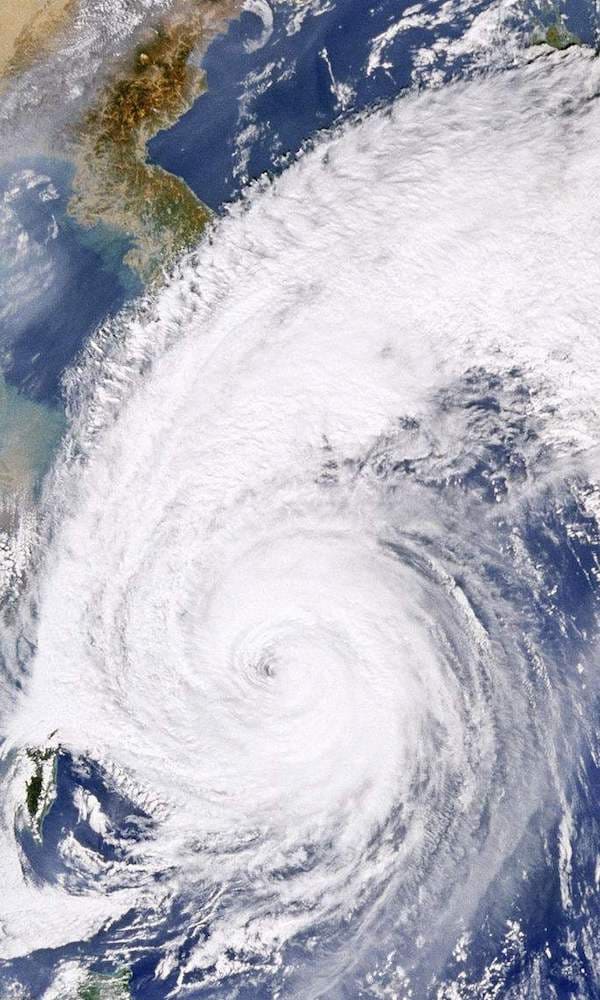 《台风》封面图片