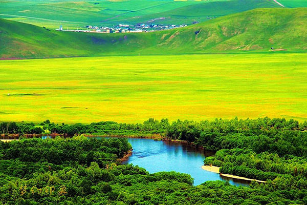 政治与制度：内蒙古自治区成立70周年