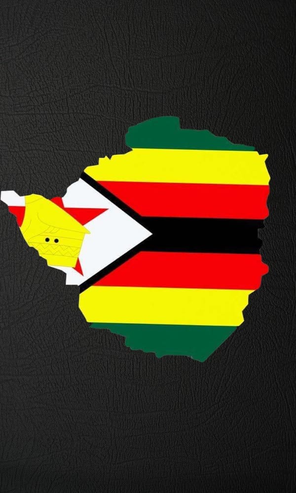 《津巴布韦》封面图片