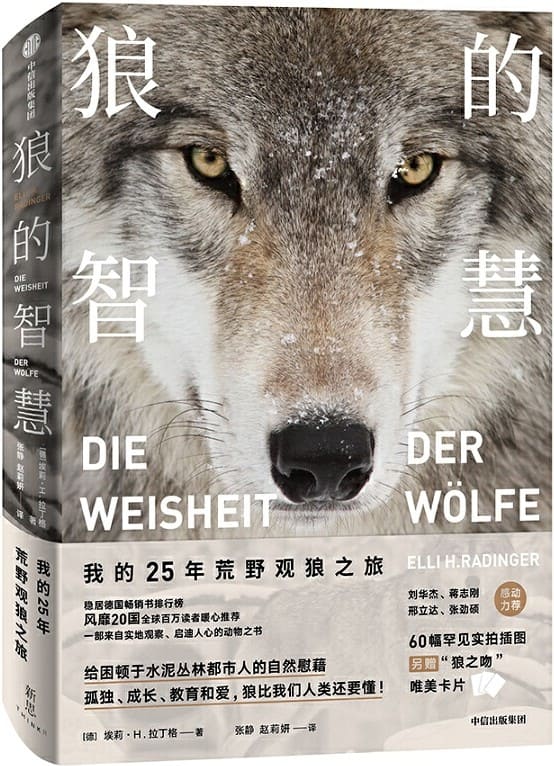 《狼的智慧》封面图片