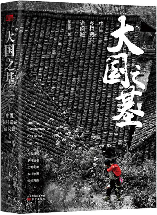 《大国之基：中国乡村振兴诸问题》封面图片