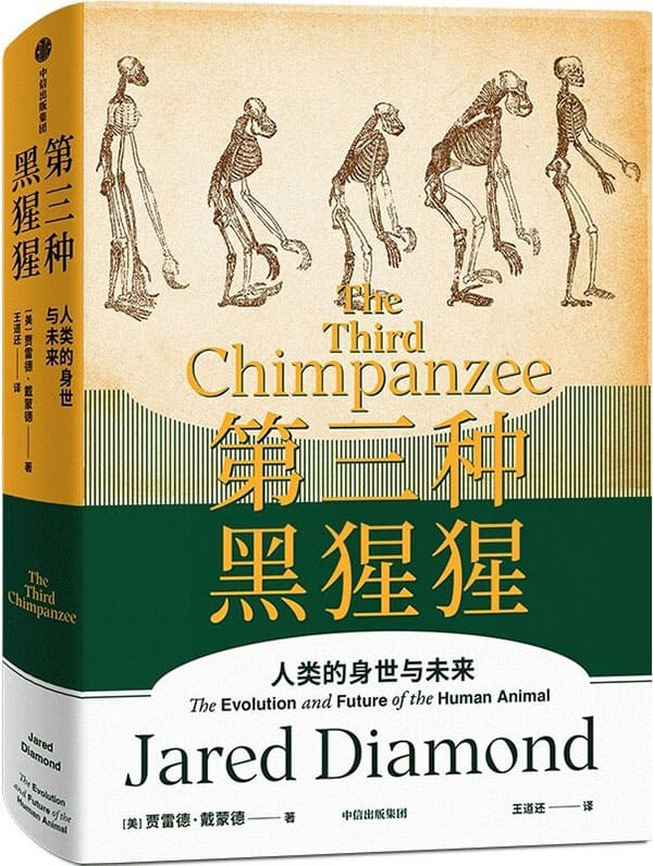 《第三种黑猩猩》封面图片