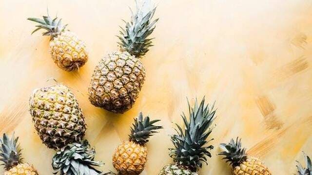 《菠萝为什么叫pineapple？》封面图片