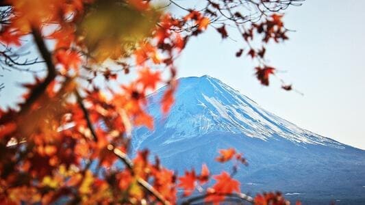 《富士山属于私有财产，政府每年需要缴纳租金》封面图片