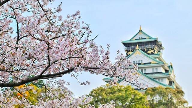 《樱花并不是日本国花》封面图片