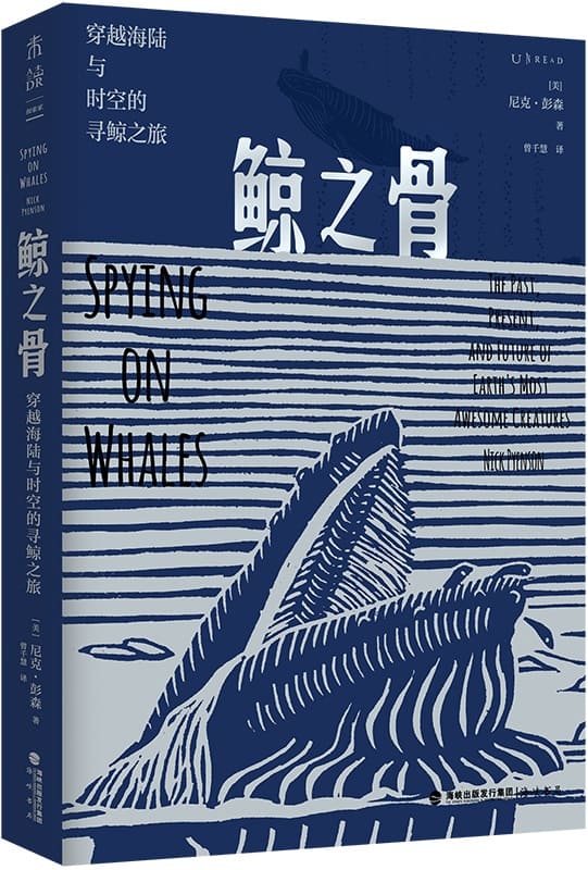 《鲸之骨》封面图片