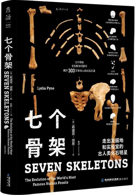 《七个骨架：走出发掘地和实验室的古人类化石明星》封面图片