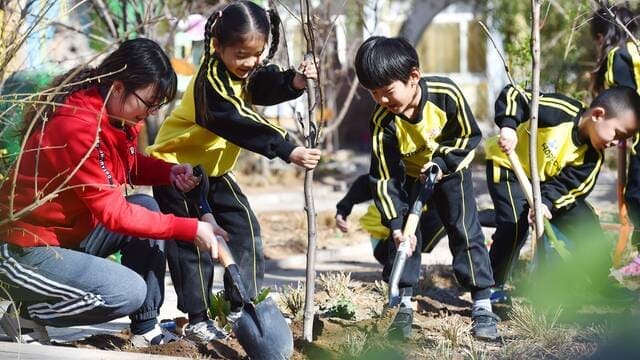 《植树节（3月12日）是为了纪念孙中山先生》封面图片