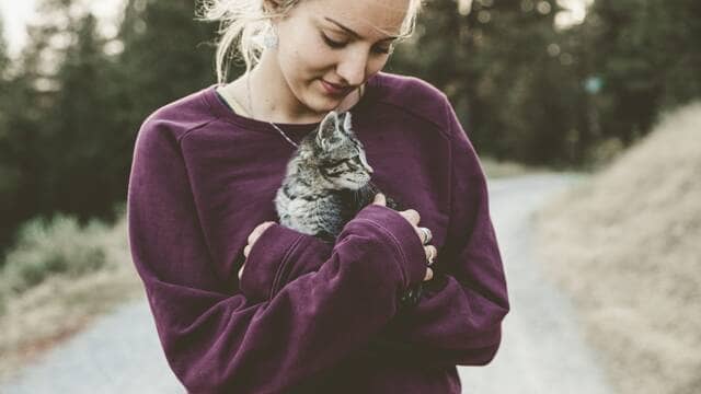 《共享猫猫对猫的健康有影响吗？》封面图片