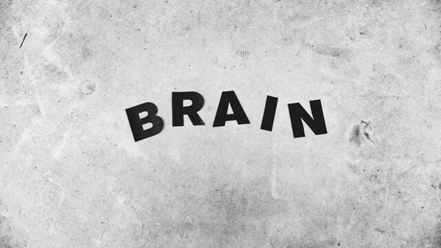 《人类的大脑相当于多少G的内存？》封面图片