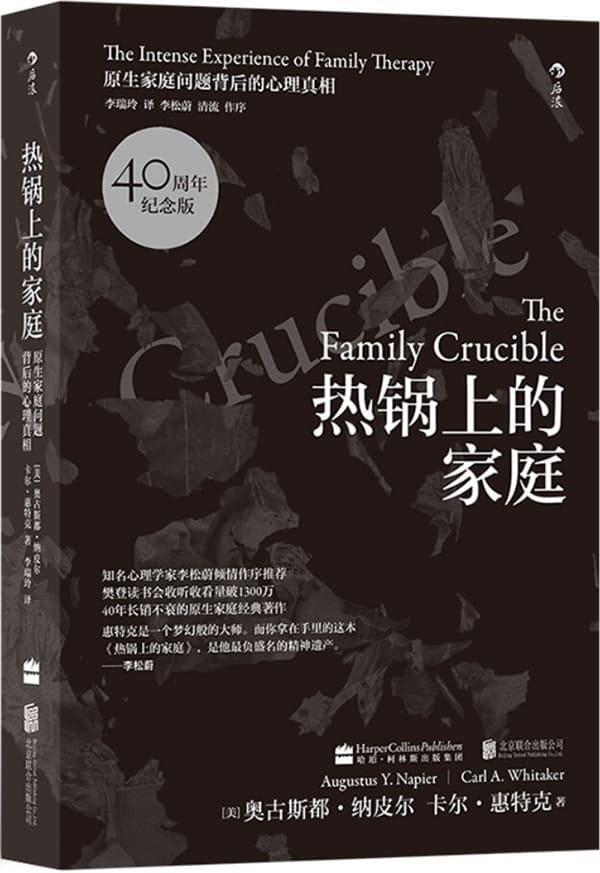 《热锅上的家庭： 家庭问题背后的心理真相》封面图片