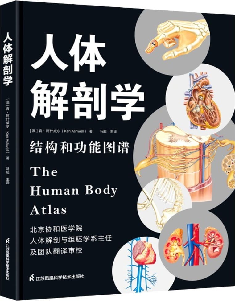 《人体解剖学：结构和功能图谱》封面图片