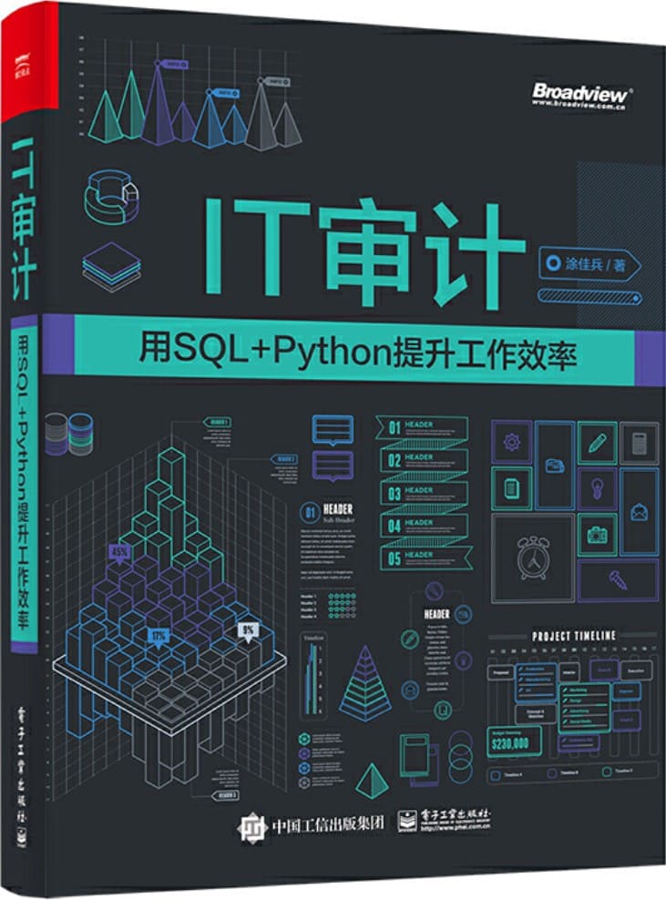 《IT审计：用SQL_Python提升工作效率》封面图片
