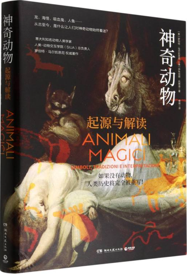 《神奇动物：起源与解读》封面图片