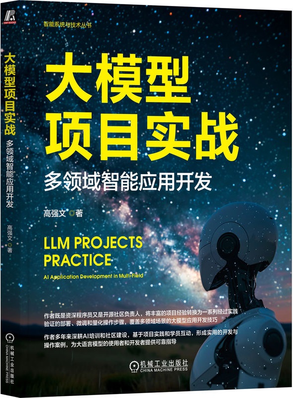 《大模型项目实战：多领域智能应用开发》封面图片