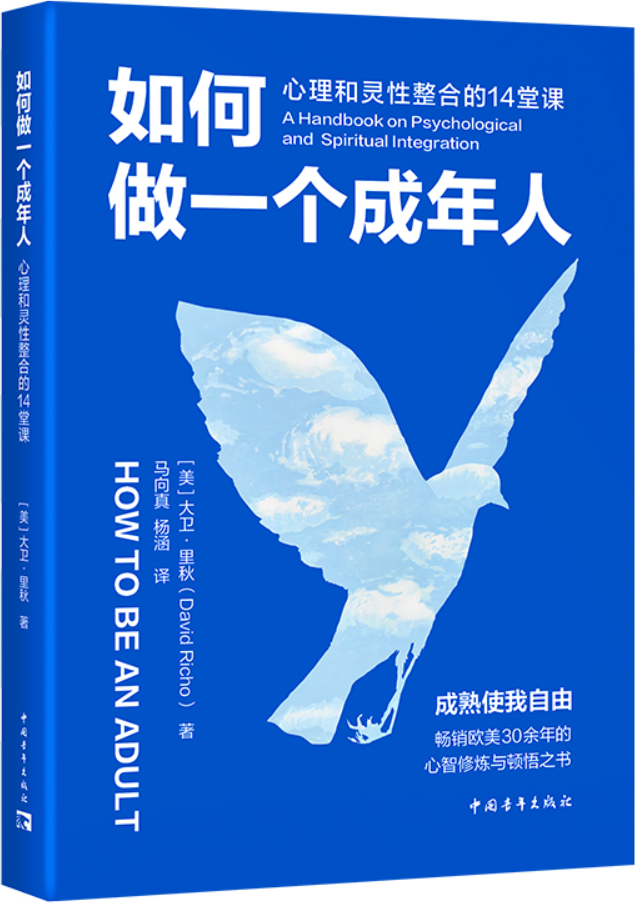 《如何做一个成年人：心理和灵性整合的14堂课》封面图片