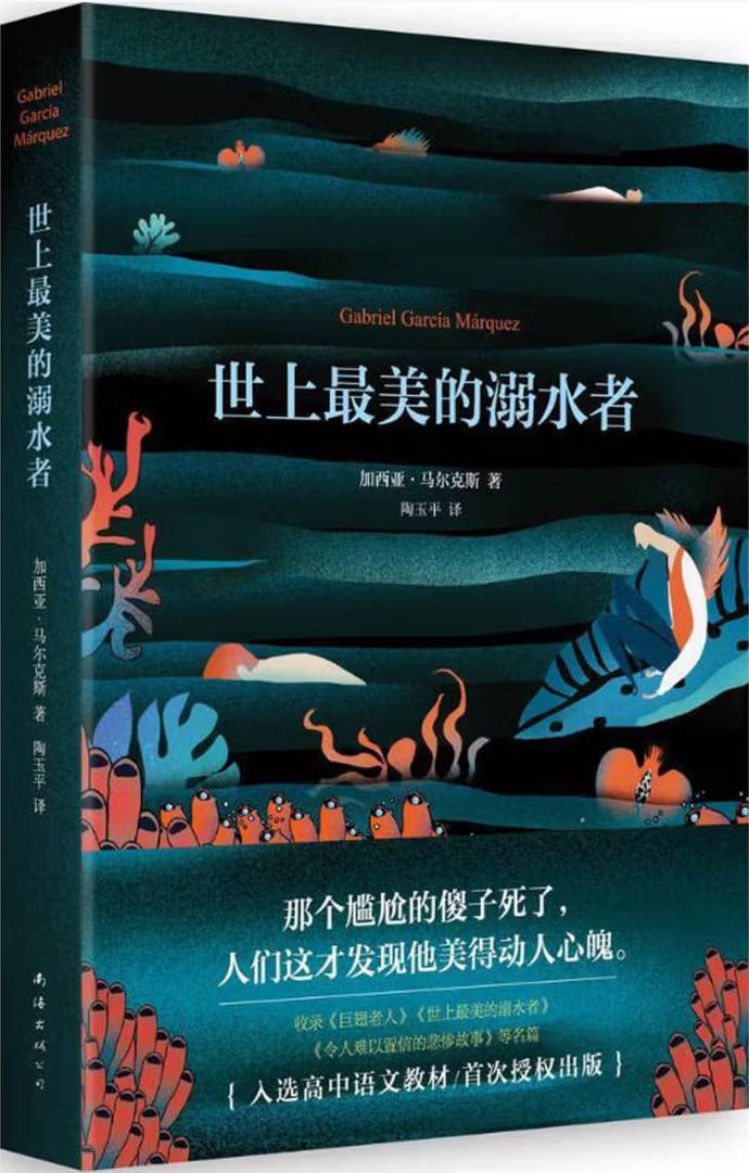 《世上最美的溺水者》封面图片