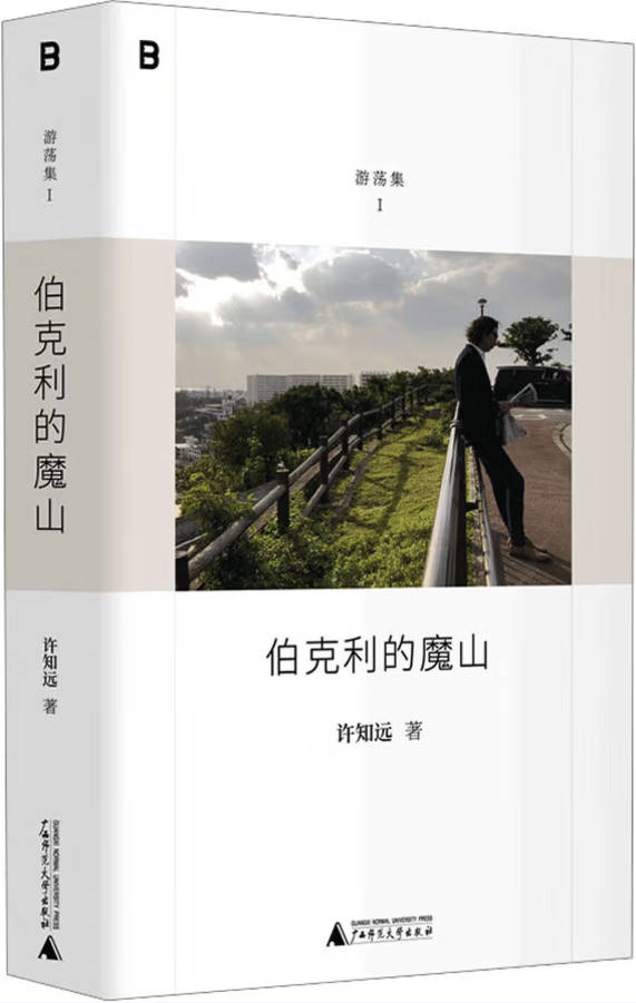 《伯克利的魔山》封面图片