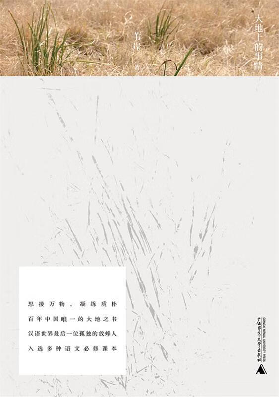 《大地上的事情》封面图片